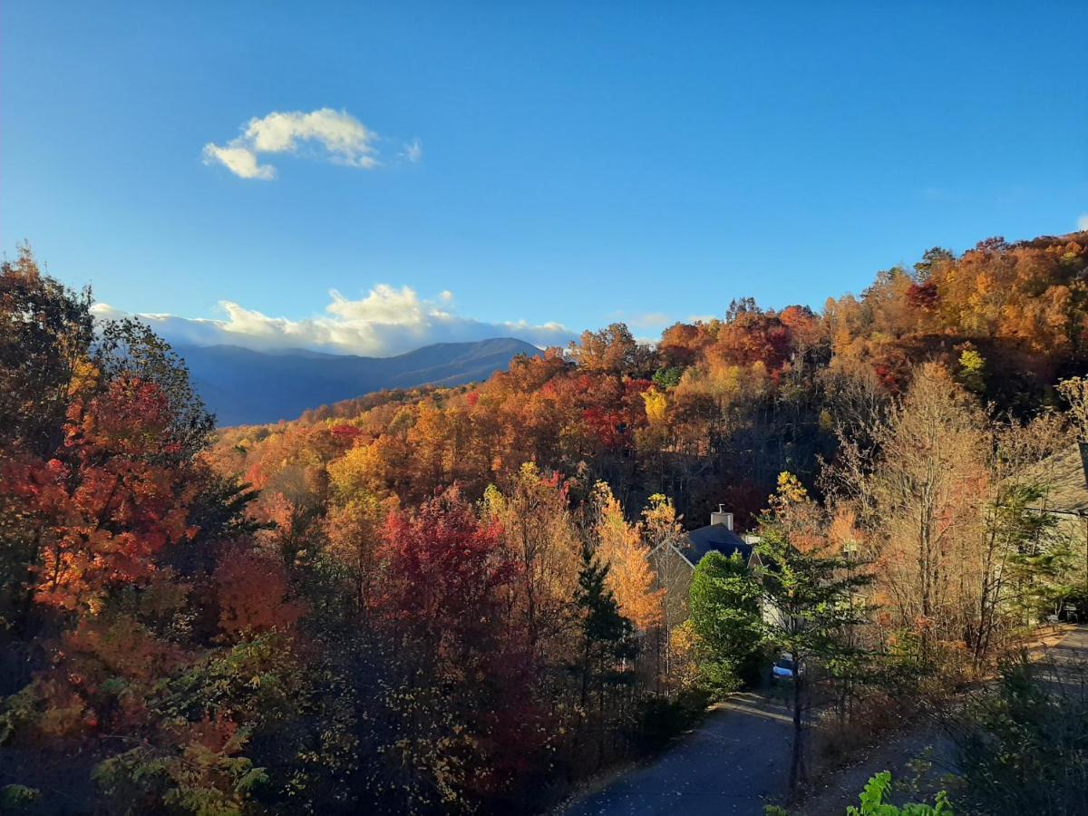 3 Decks, Mtn Views! Tree Tops By Honeybearcabins - Luxury Rain Showers, 3 King Suites, Xl Hottub, Fireplace, Bear Sightings Gatlinburg Exterior foto